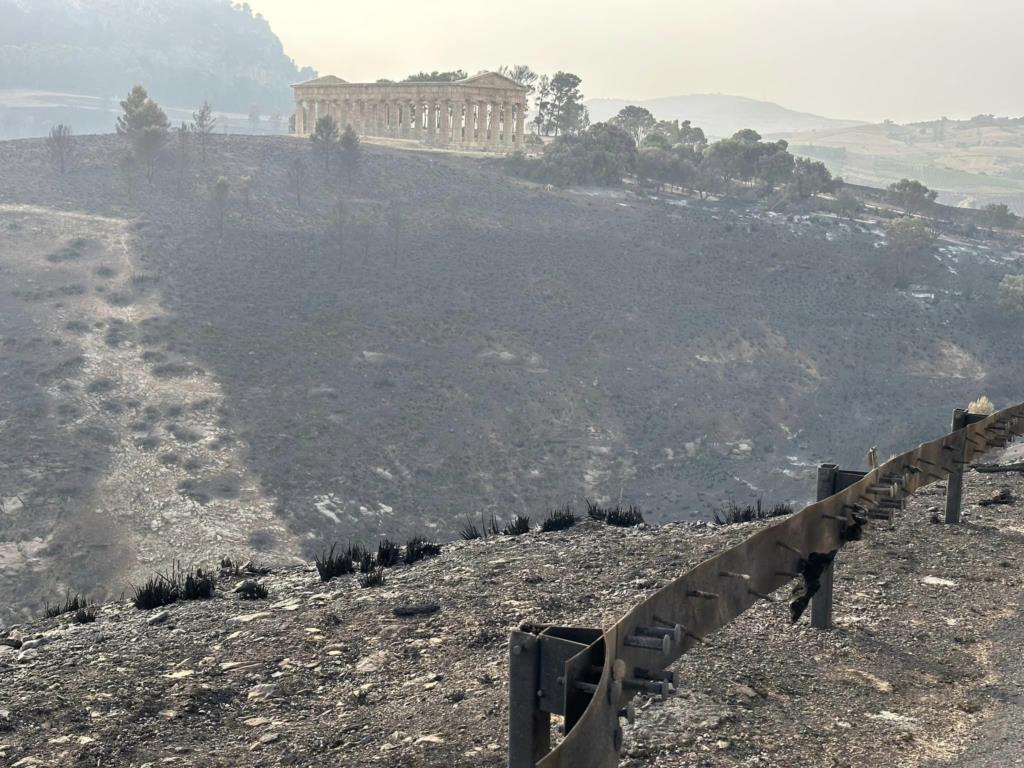 Incendi boschivi. Sopralluogo a Segesta della deputata Ciminnisi (M5S)
