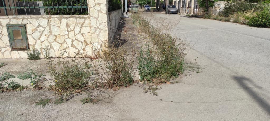 Valderice, al villaggio Anna Maria strade sporche e piazze al buio