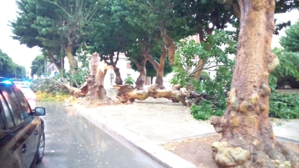 La bomba d'acqua è arrivata