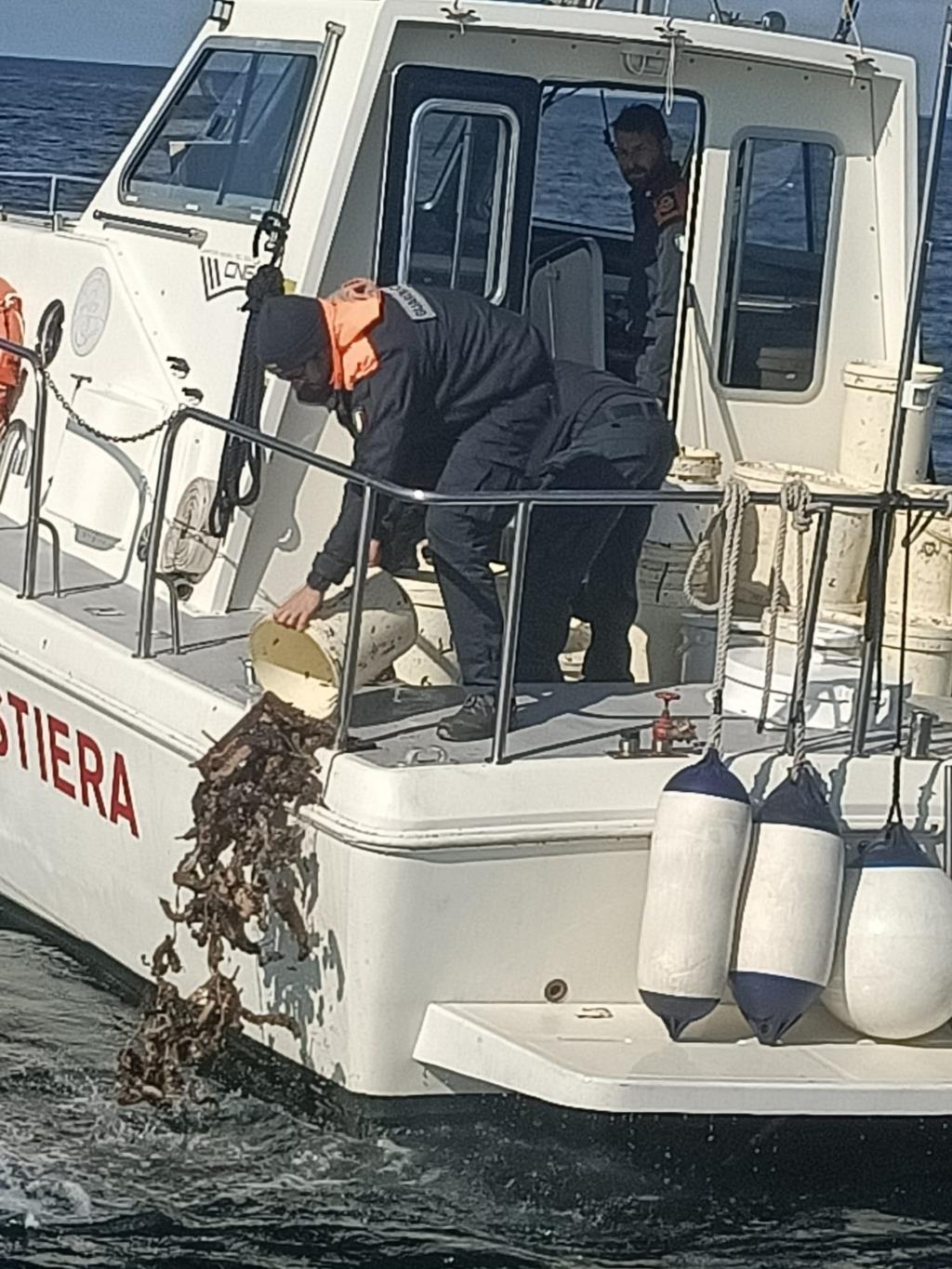 Paceco, sequestrata mezza tonnellata di oloturie. Denunciati cinque pescatori abusivi