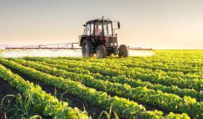 Agricoltura, lettera dei sindaci trapanesi a Draghi e Musumeci