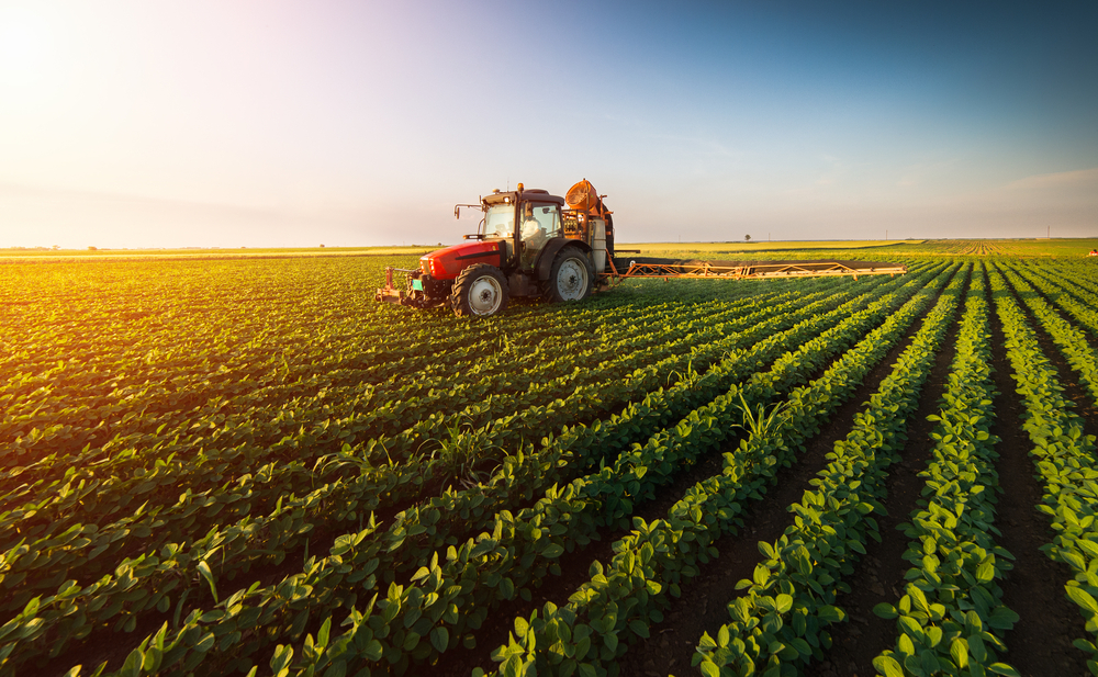 Agricoltura, migliaia di istanze per il Piano di sviluppo rurale