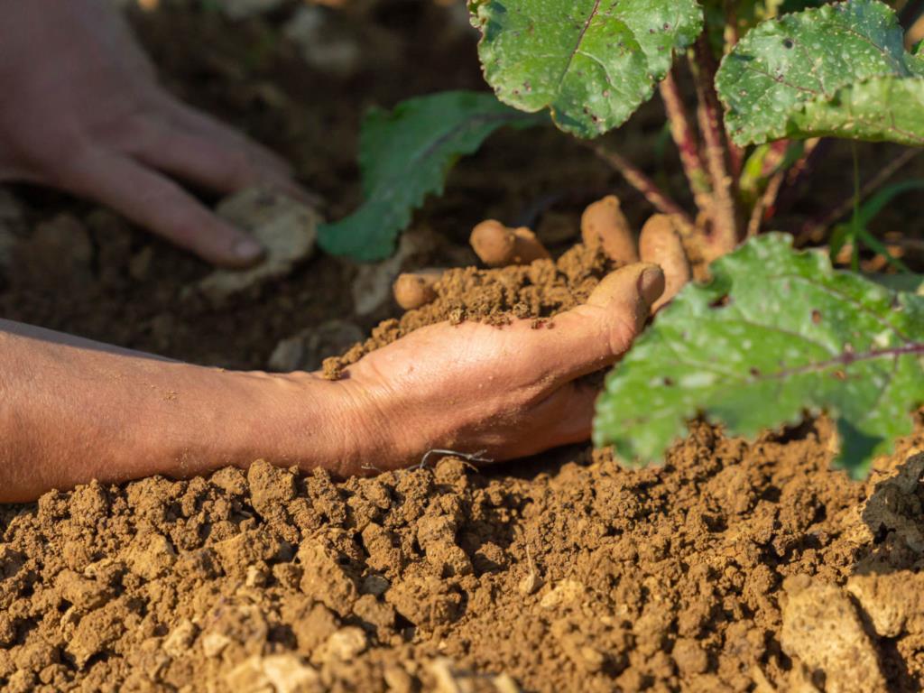 Agricoltori senza acqua, protesta a Castelvetrano