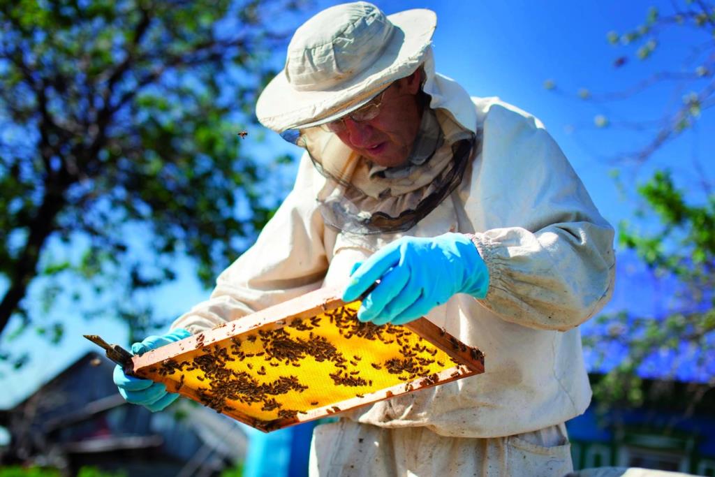 Bando per aiuti agli apicoltori siciliani: prorogata la scadenza