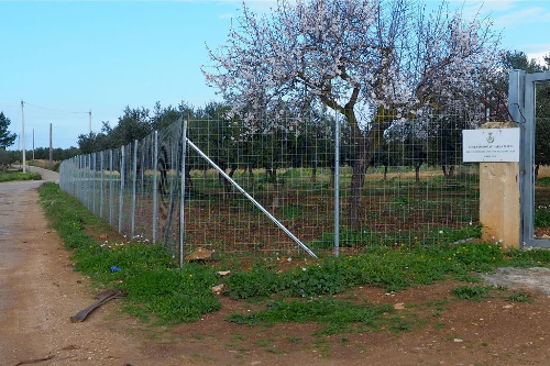 Mazara del Vallo: pubblicato l'avviso per l'affidamento dei beni confiscati