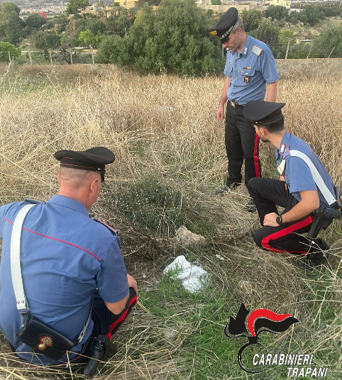 Neonato abbandonato nelle campagne di Paceco