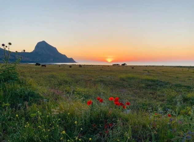 San Vito Lo Capo, unioni e matrimoni civili in spiaggia