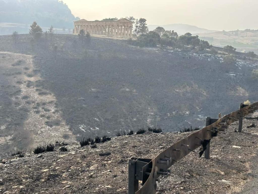 Incendi, il J'accuse del WWF