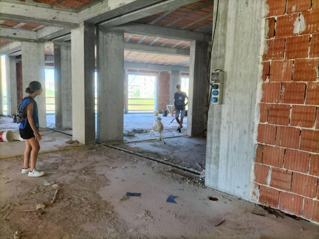 Trapani, cane imprigionato all'interno di un edificio in costruzione: salvato dall'Oipa