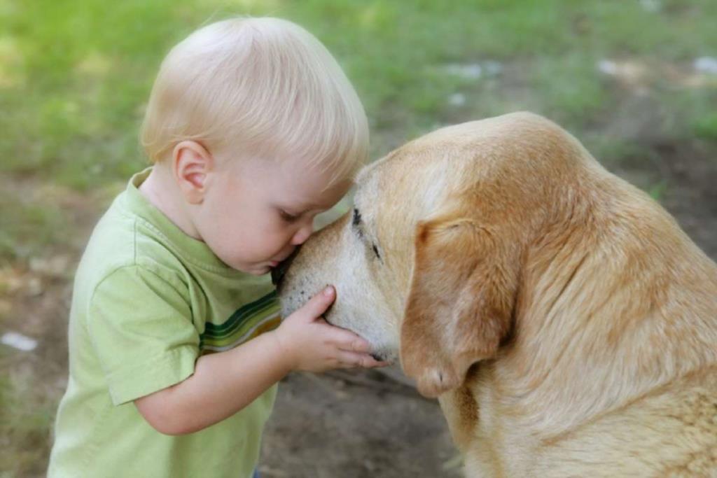 Cani e bambini: connubio perfetto (VIDEO)