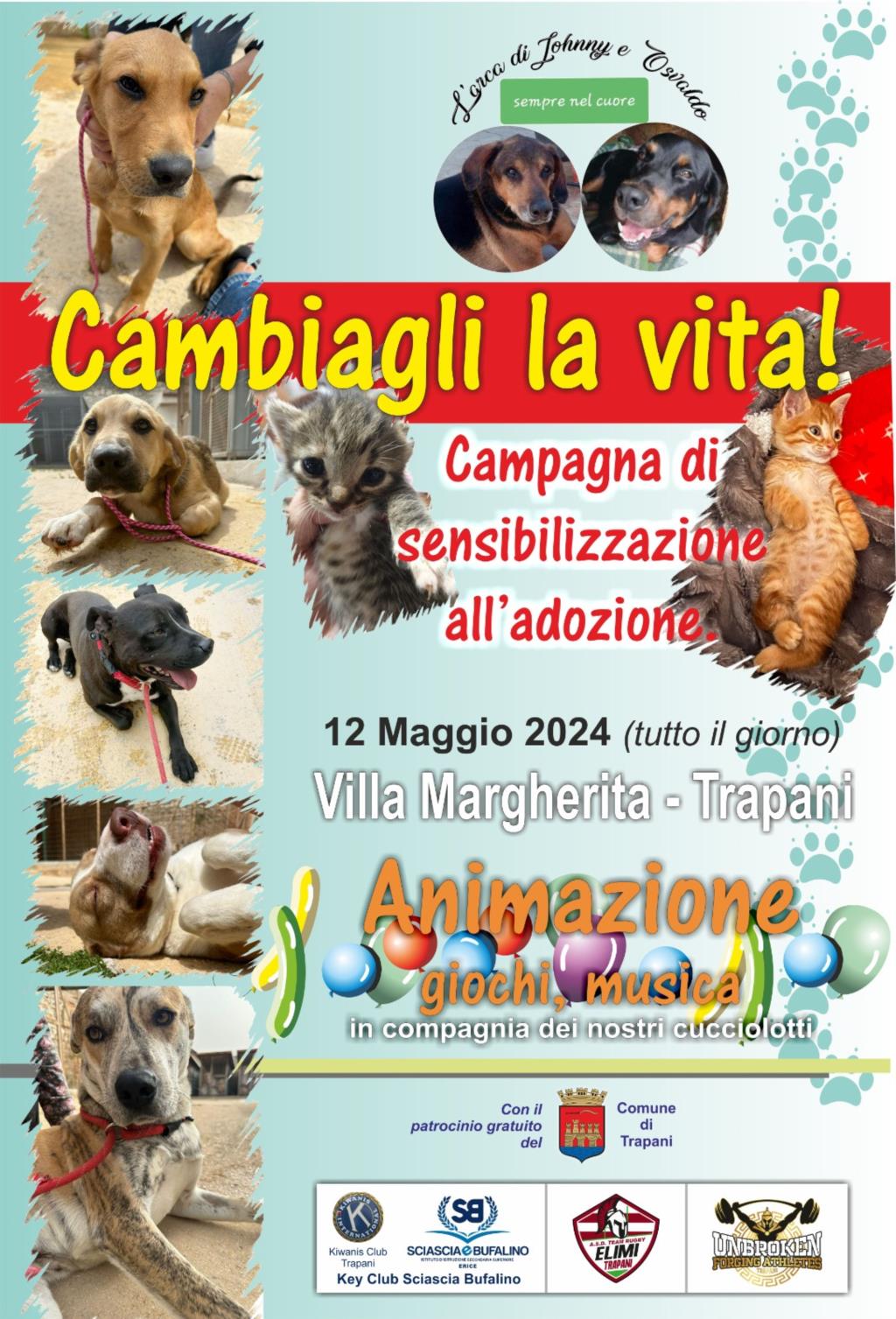 Trapani, cuccioli in adozione domani a villa Margherita