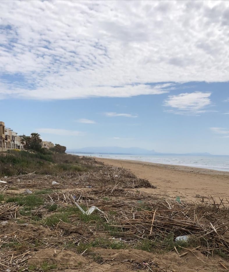 Campobello, al via la pulizia della spiaggia di tre Fontane