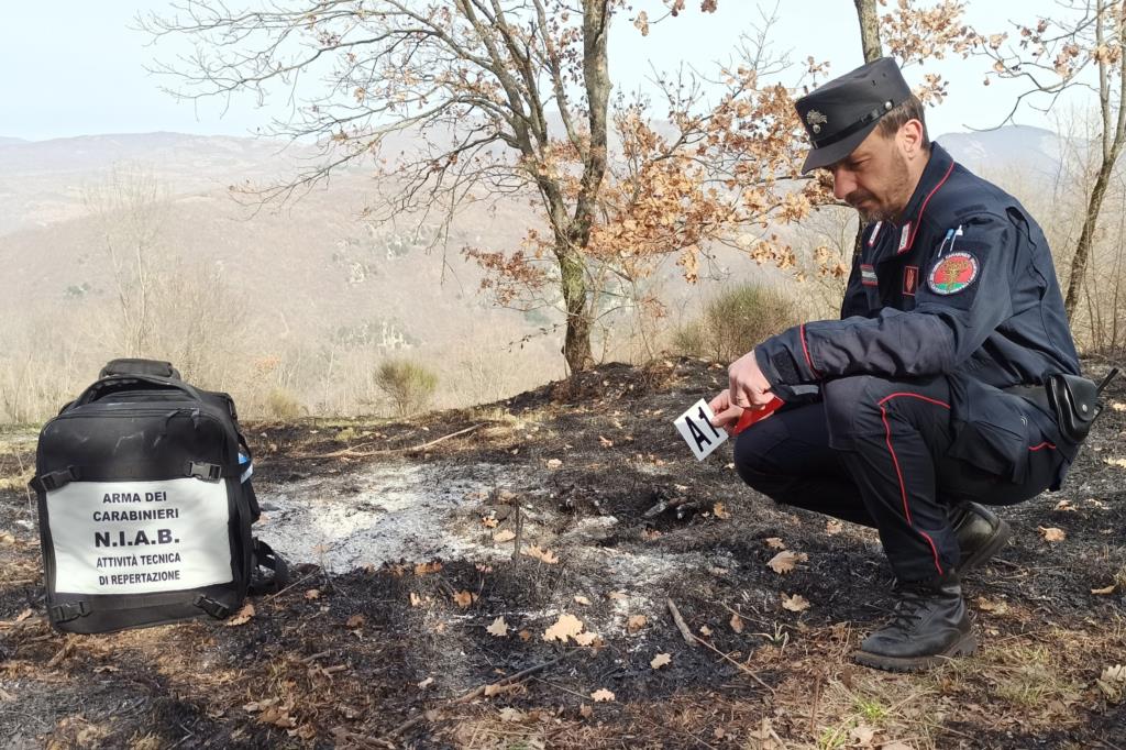 Incendi in provincia: i Carabinieri arrestano tre persone (VIDEO)