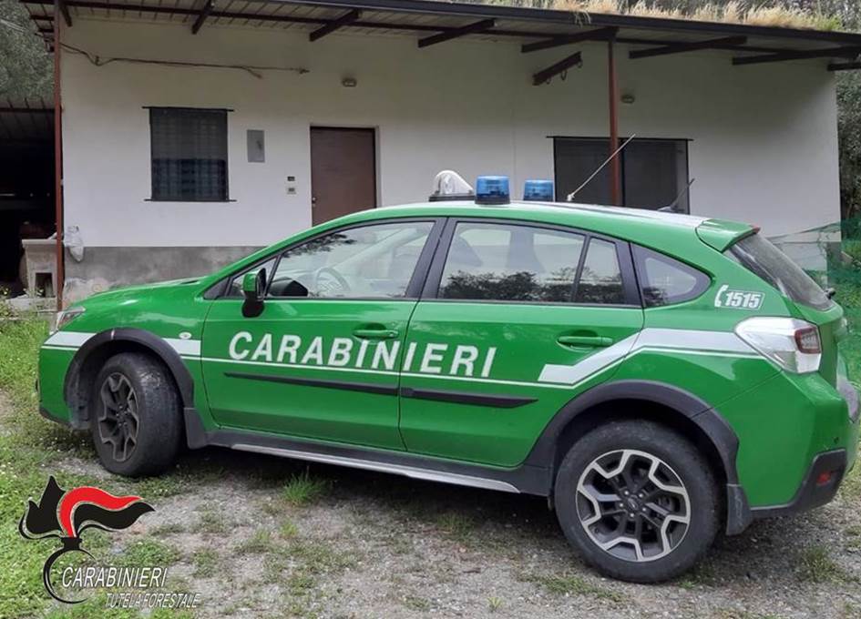 Pantelleria, pilotava drone in un'area protetta: denunciato