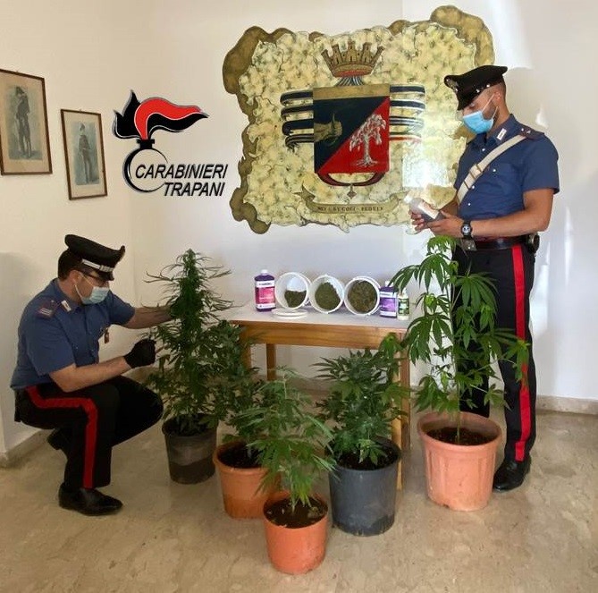 Coltivava marijuana in casa, arrestato un uomo a Petrosino