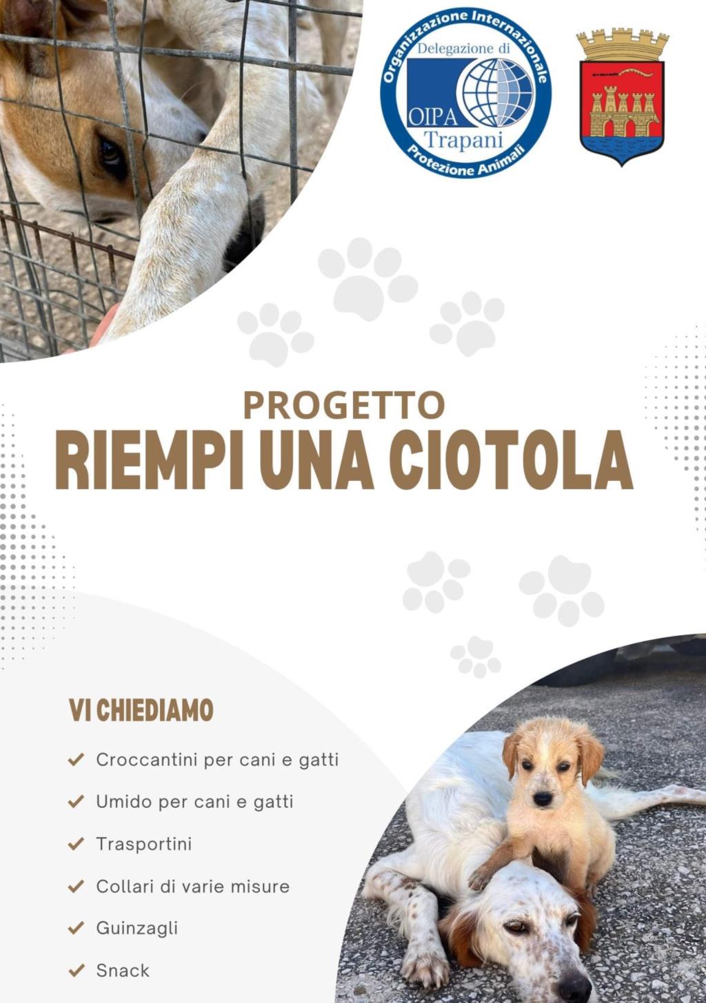 'Riempi una ciotola': la campagna solidale di Oipa Trapani