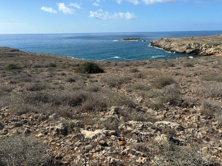 Favignana, contrada Stornello. Ciminnisi (M5S): 'La Regione sia vigile'