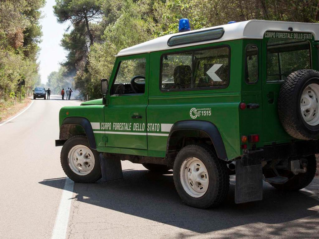 Allerta incendi, Schifani: 'Regione dichiara stato di crisi e richiama in servizio 1.600 operai forestali'