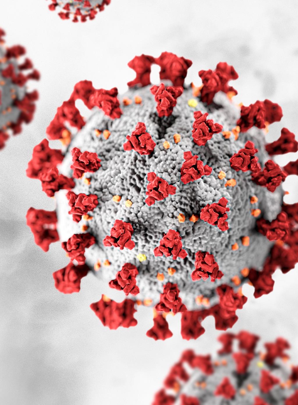 Covid nel Trapanese: attuali positivi e sintomatici in lieve crescita, un altro morto