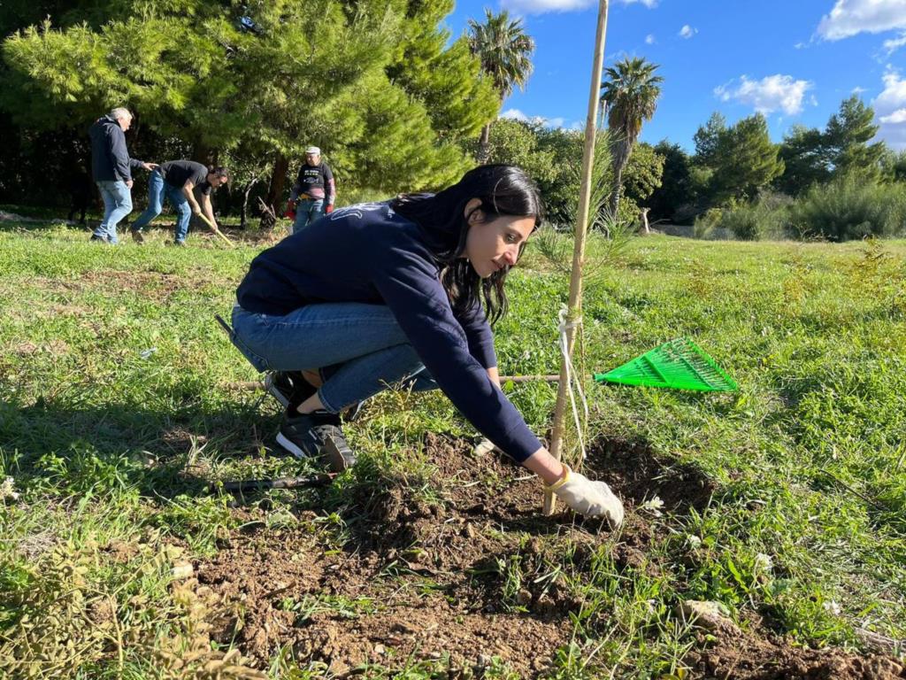 Verde pubblico a Trapani. Ciminnisi (M5S) scrive al sindaco Tranchida