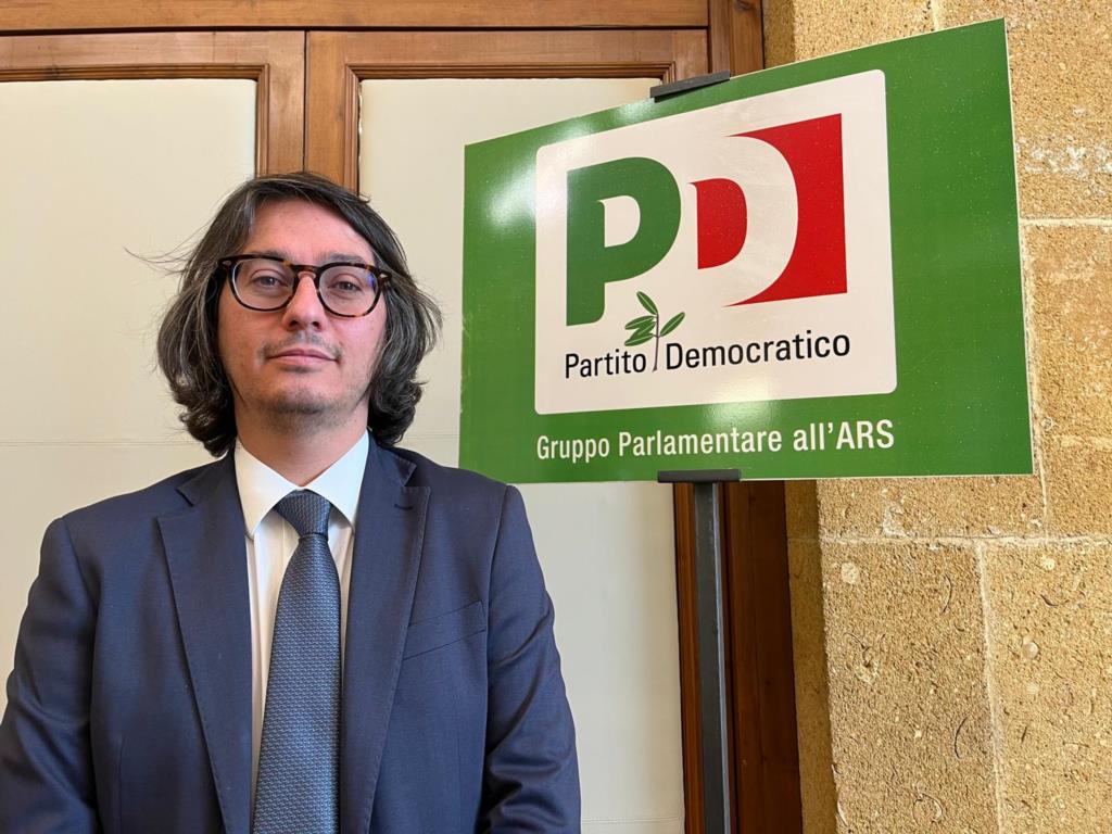 Randagismo, Safina (PD) contro il nuovo Ddl: “Una minaccia per gli animali e per il lavoro dei volontari”