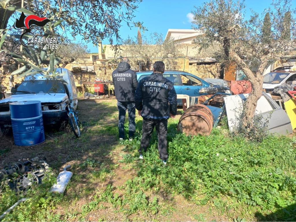 Mazara, attesta falsamente la demolizione di un mezzo: denunciata