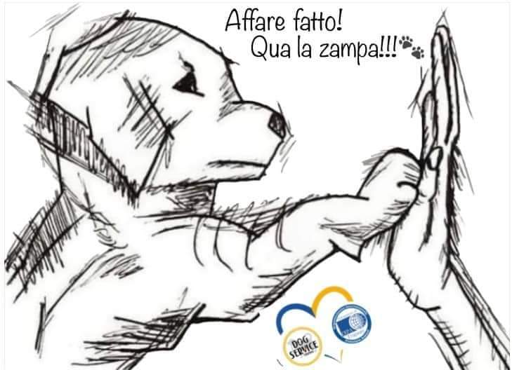 Il lavoro di squadra, divide i compiti e moltiplica il successo