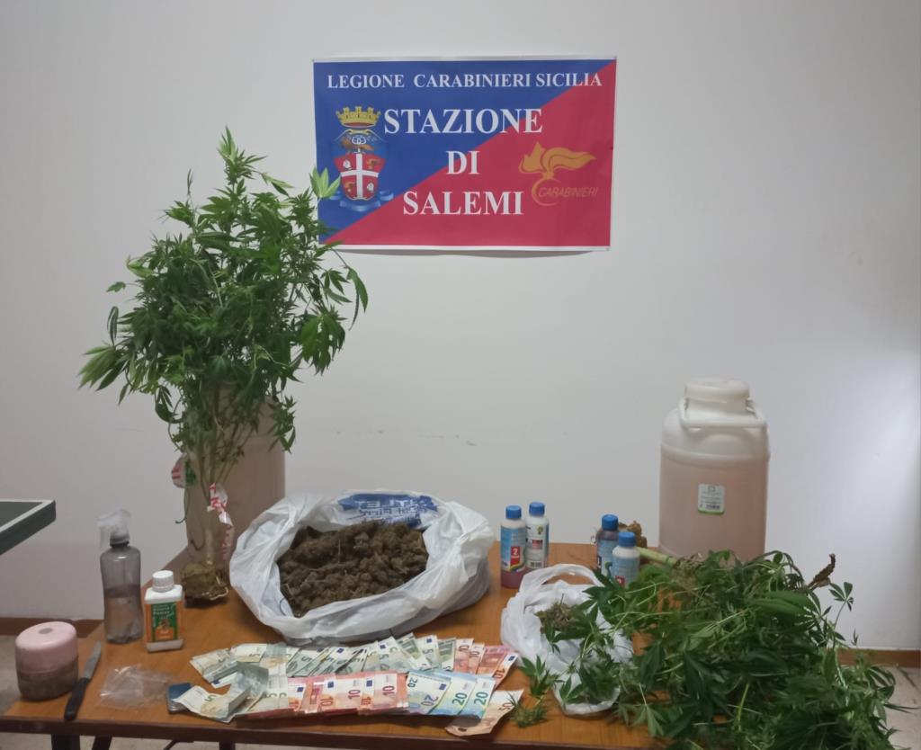 Vita, coltivava marijuana nel B&B: in manette un 38enne