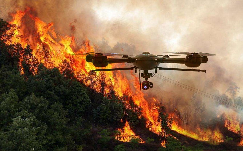Come ti combattono gli incendi a Trapani .... secondo John Flamingo