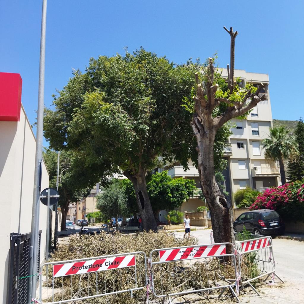 Trapani, Erythros: 