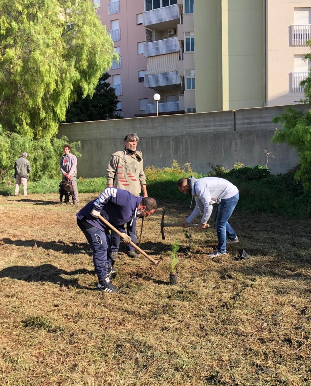 Trapani, 50 piante a Villa Rosina per la Giornata dell'albero