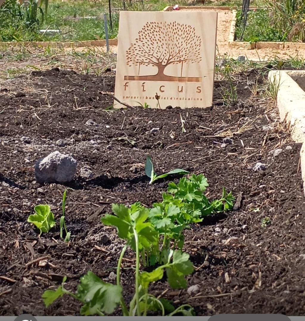 Marsala, Anffas e F.O.O.D. Ficus concludono il progetto Ortoterapia e Pet Therapy