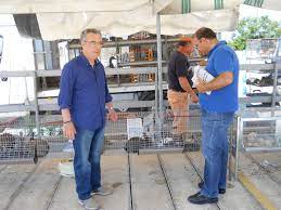 Partanna, sospesa la fiera del bestiame causa Covid 19