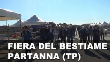 Partanna, riparte la Fiera del Bestiame