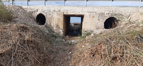 Marsala: effettuata la pulizia alla foce del fiume Sossio