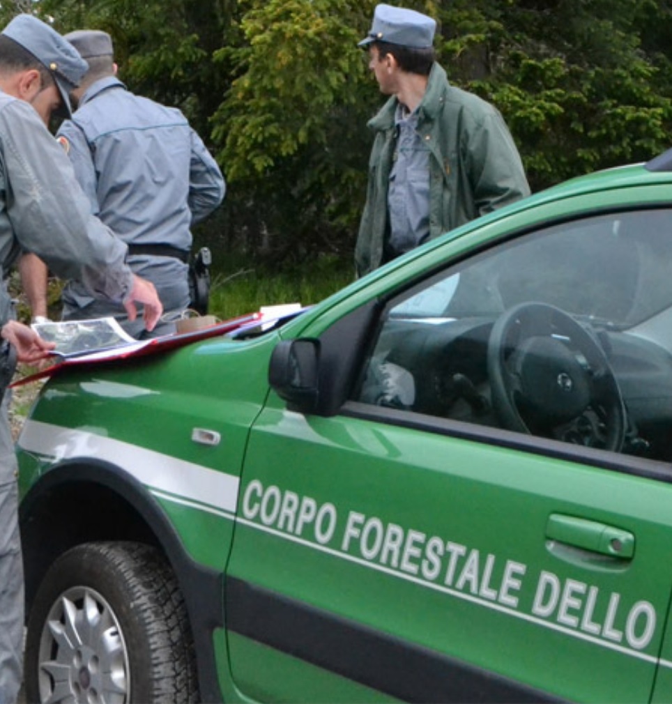Incendio a Vita, colpiti da tronchi tre uomini della Forestale