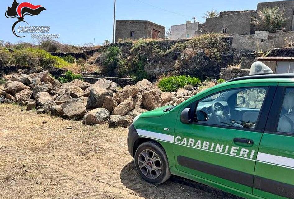 Pantelleria, brucia erbacce nonostante il divieto: sanzionato