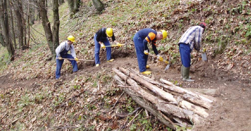 Sicilia, Ugl su riforma comparto forestale: 'No a personalismi'
