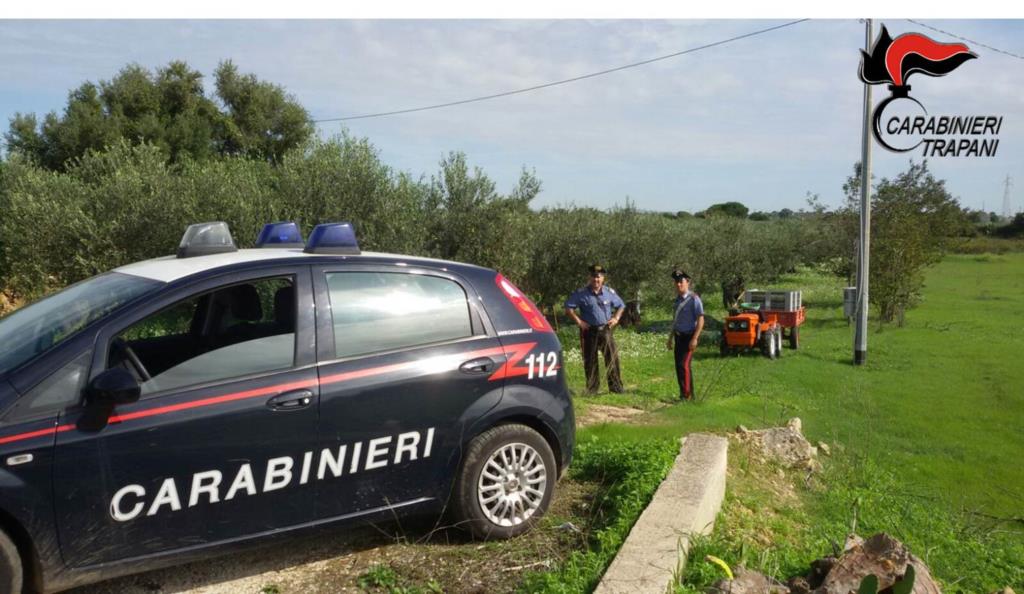 Raccoglieva olive in un terreno non di sua proprietà con sei operai in nero.