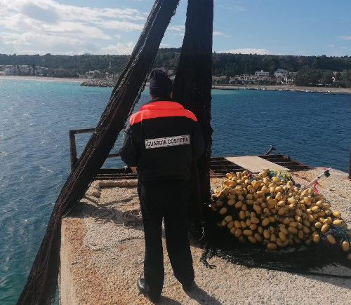 Controlli da parte della Guardia Costiera: sequestrati ricci di mare e una spadara