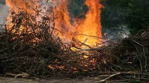 Erice, dal 15 giugno vietata la combustione agricola controllata