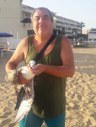 Gabbiano ferito in spiaggia a San Giuliano, salvato da una coppia di bagnanti