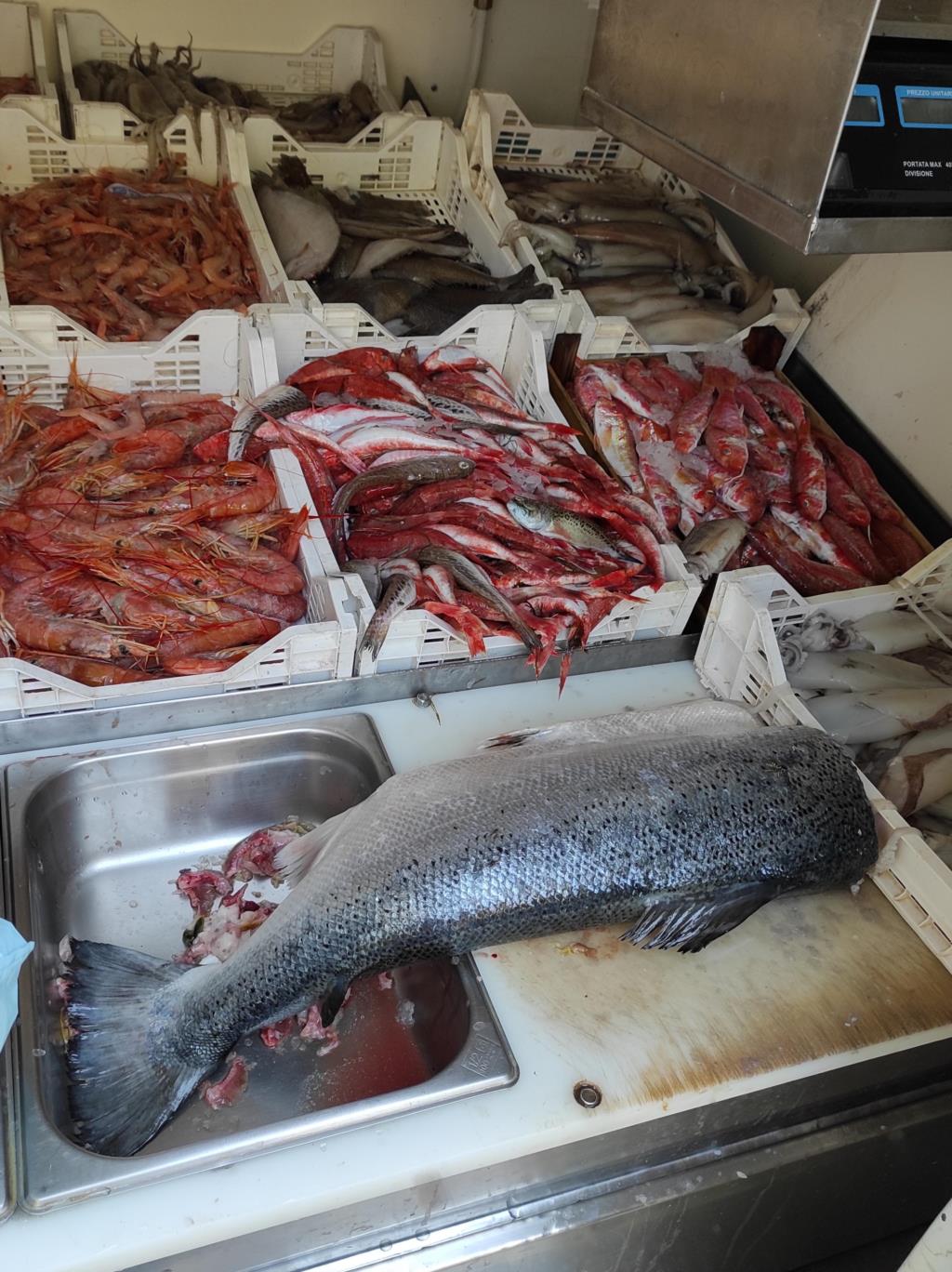 Salemi: sequestrati oltre ventidue chili di prodotti ittici