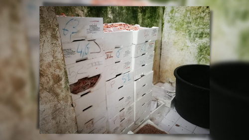 Mazara del Vallo: sequestrati circa duecento chili di pesce