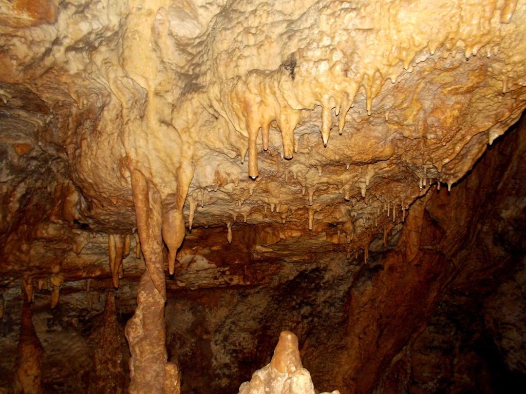 Custonaci, al via la conferenza internazionale 'Man and Karst'