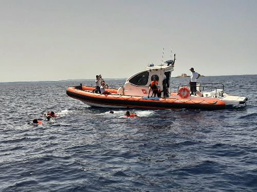 Esercitazione della Guardia Costiera con i cani da salvataggio