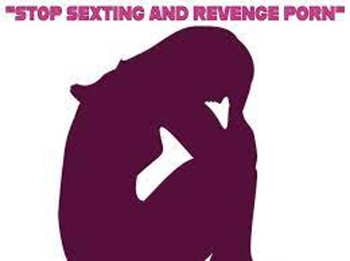 Partanna: consiglio comunale approva mozione contro il revenge porn