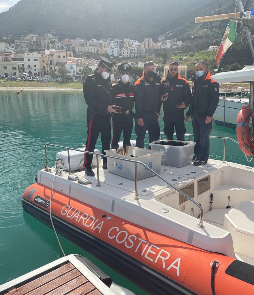 Castellammare, pesca di frodo: sequestrati 1000 ricci di mare