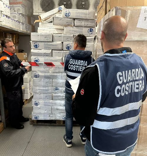 Castellammare: sequestrate due tonnellate di polpo congelato dalla Guardia Costiera