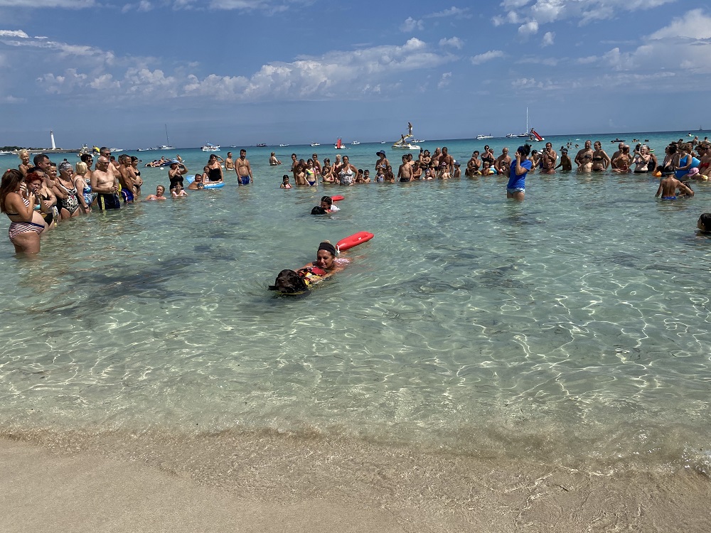 San Vito Lo Capo, tornano in spiaggia i cani di salvataggio